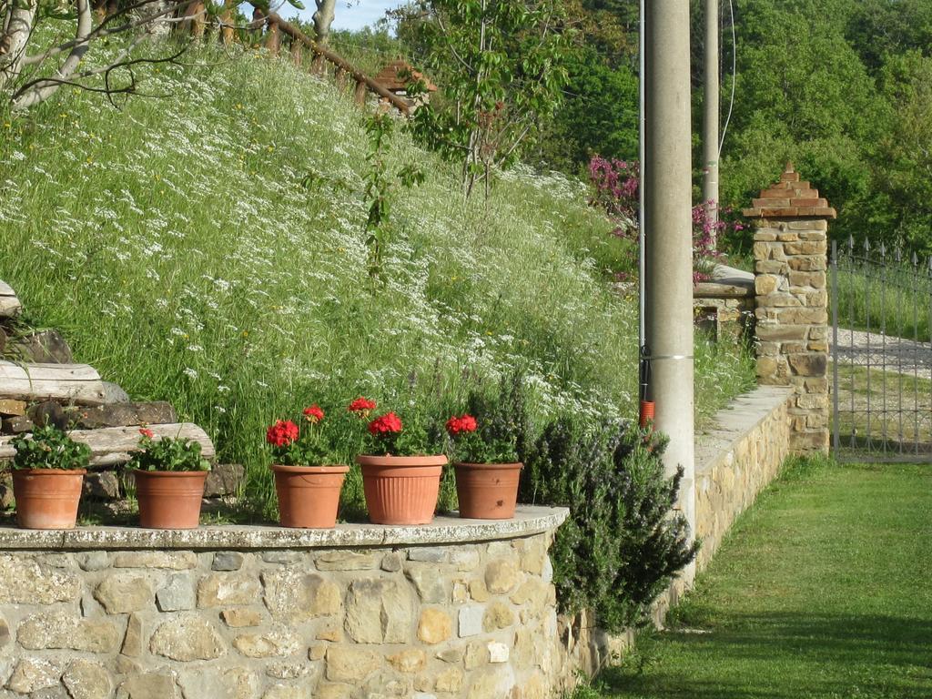 Bed And Breakfast Country Hill 아레초 외부 사진