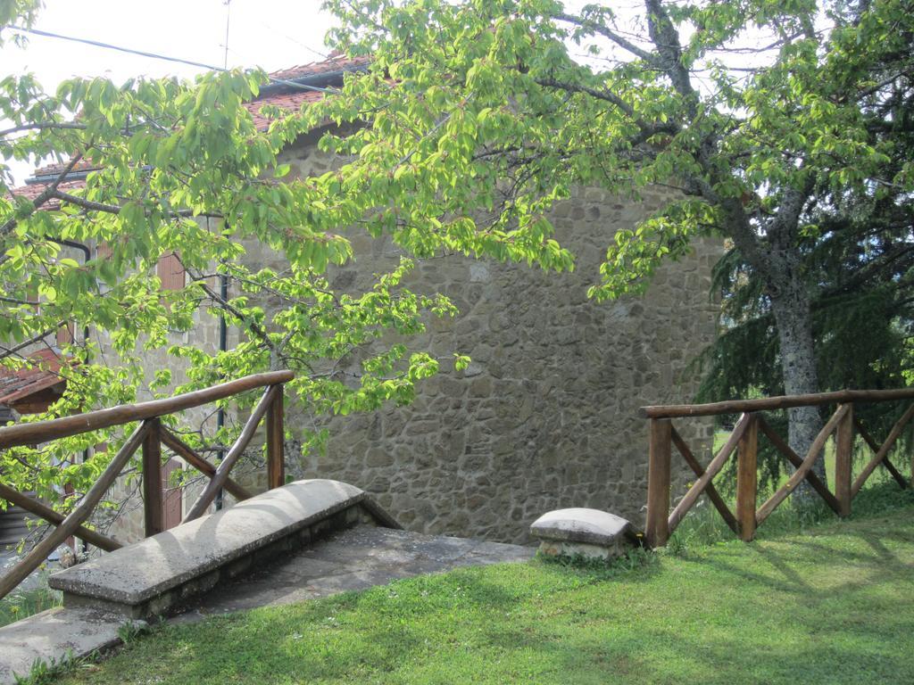 Bed And Breakfast Country Hill 아레초 외부 사진